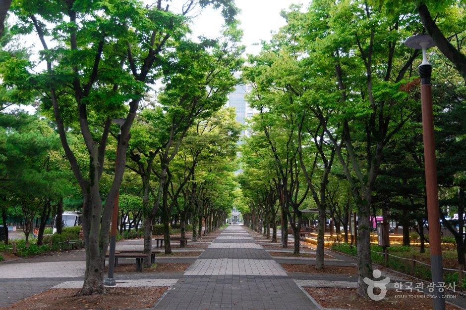 thumbnail-보라매공원(대전)-0