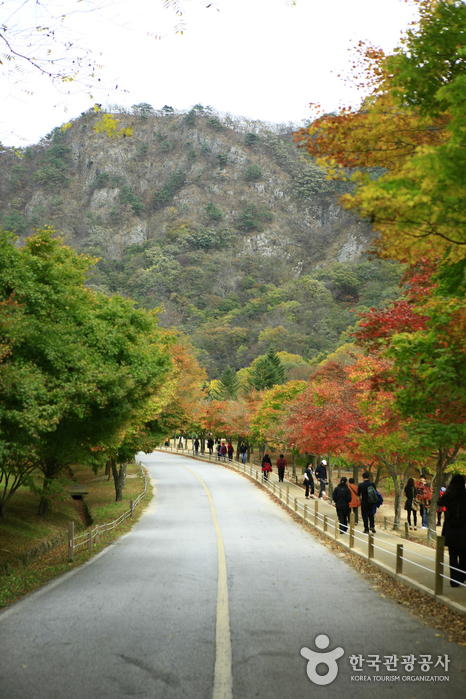 매년 10월이면 열리는 단풍축제 때는 짧은 가을산행을 즐기려는 인파가 붐빈다.