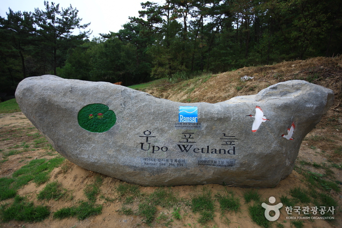 창녕 우포늪 사진28