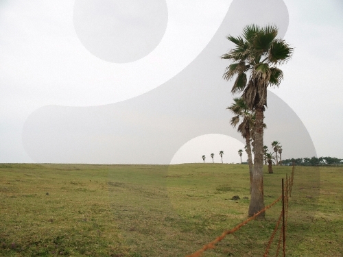 [제주올레 9코스] 대평-화순 올레7