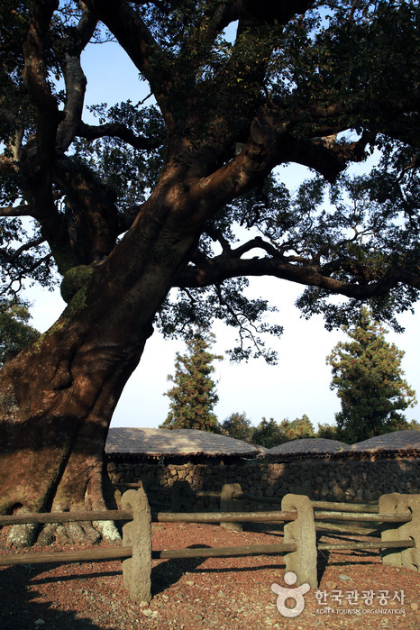 Seongeup Folk Village (성읍민속마을)