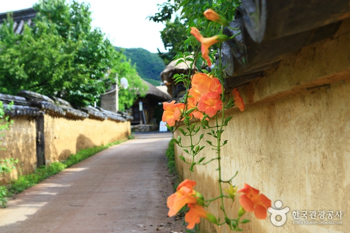 Andong Hahoe Village [UNESCO World Heritage] (안동 하회마을)