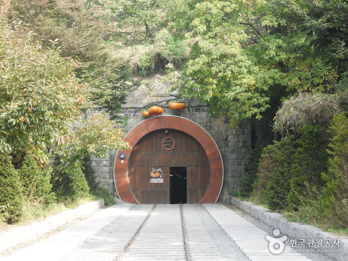 清道红酒隧道(청도 와인터널)