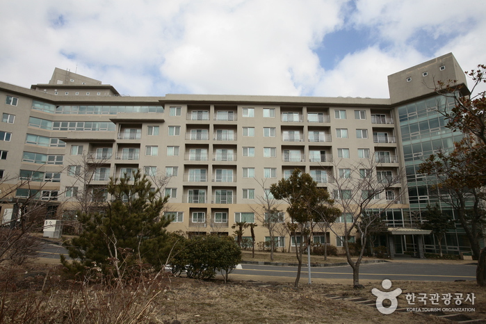 Hanwha Resort - Jeju (한화리조트 - 제주)