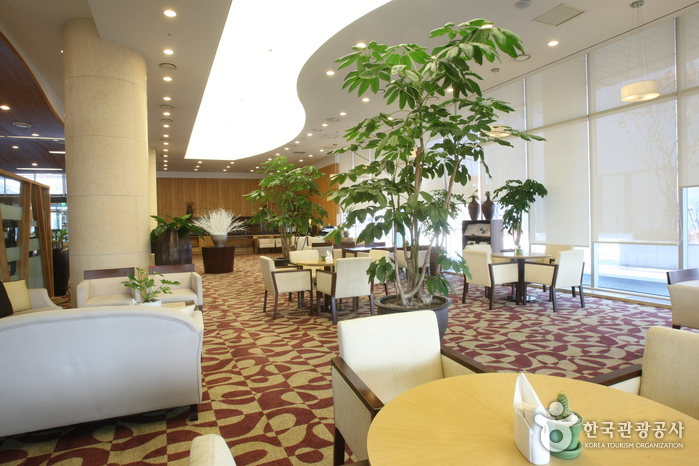 港湾公园大酒店 (Harbor Park Hotel)하버파크호텔 (Harbor Park Hotel)