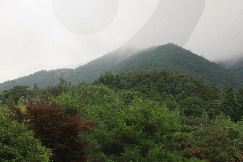 Provinzpark Cheongwansan (천관산도립공원)