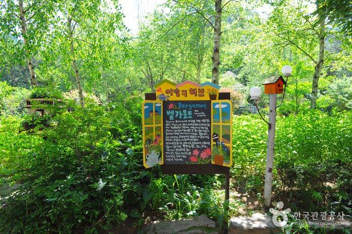 Herbnara Farm (허브나라농원)