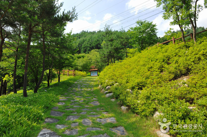 Национальный парк гор Мёнчжисан (명지산군립공원)