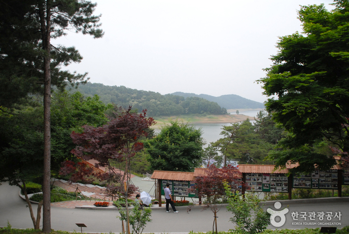 청남대 사진13