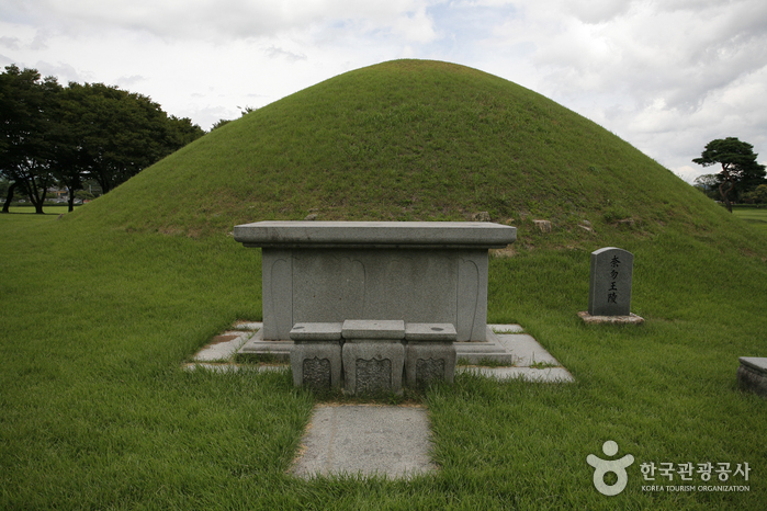 Royal Tomb of King N...