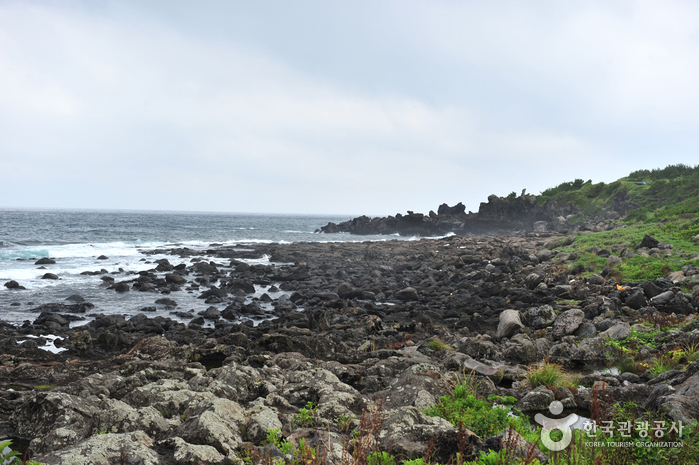 [제주올레 8코스] 월평-대평 올레1