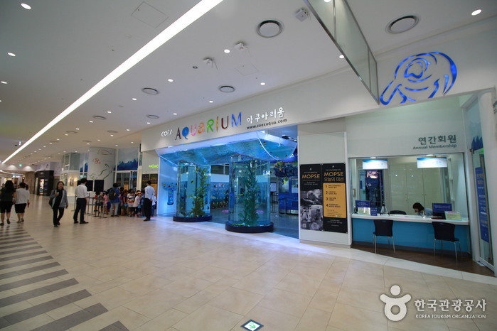 Aquarium del COEX (코엑스 아쿠아리움)