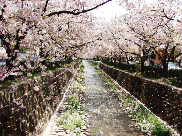 Yeojwacheon Stream (...