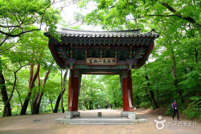 보은 법주사 사진12