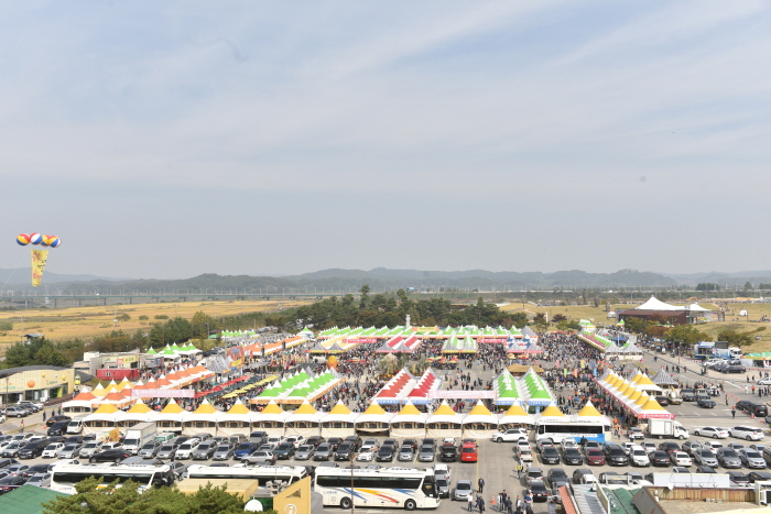 파주개성인삼축제 2017 (2)