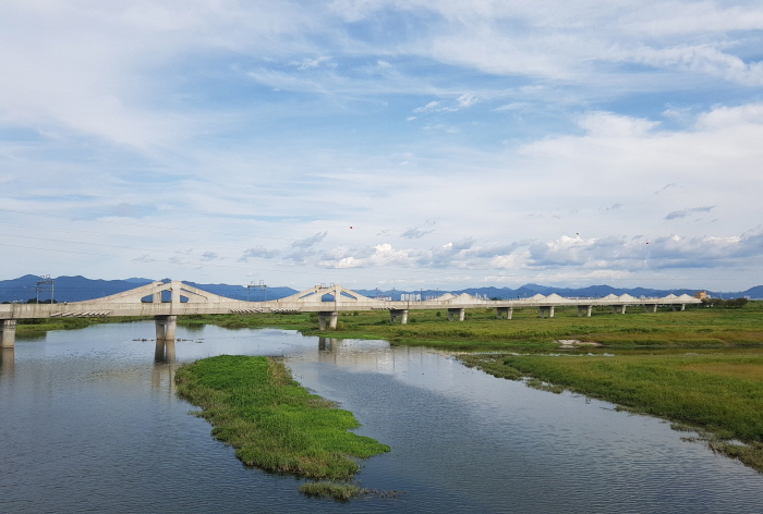 비비정예술열차2