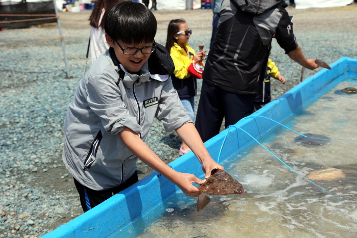 舒川自然産ヒラメタイ祭り（서천 자연산 광어 도미 축제）