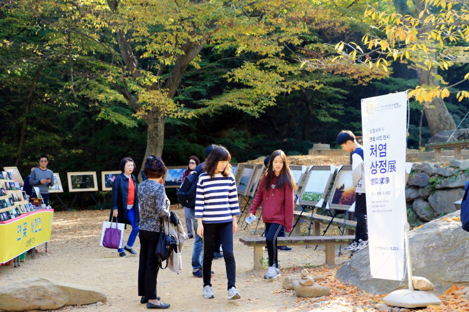 thumbnail-삼랑성역사문화축제-3