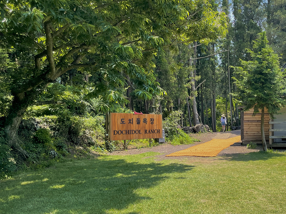 도치돌 알파카목장