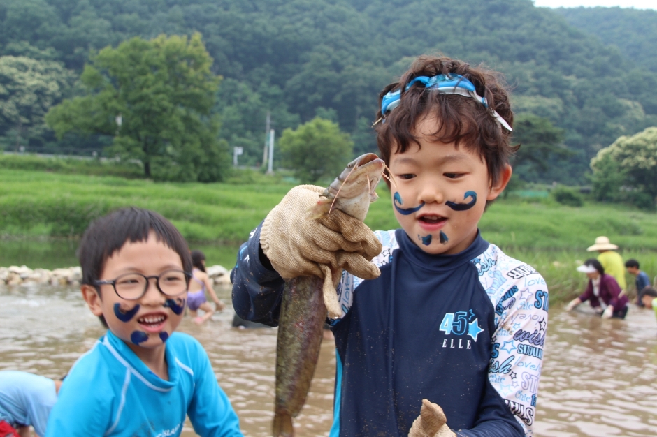 Festival du poisson-chat à Yangpyeong (양평메기수염축제)