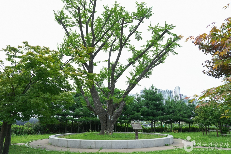 경인아라뱃길 시천공원
