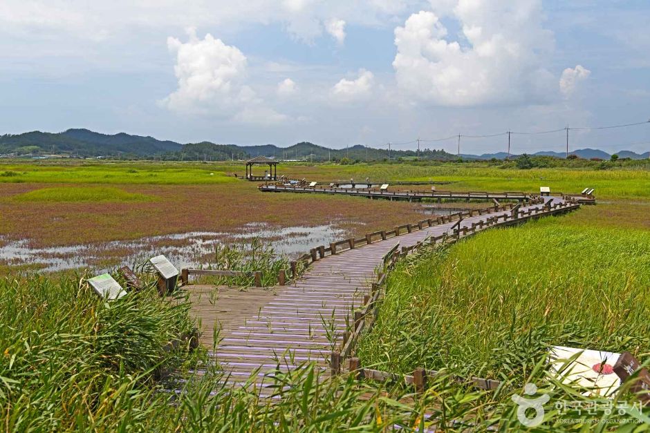 태평염생식물원