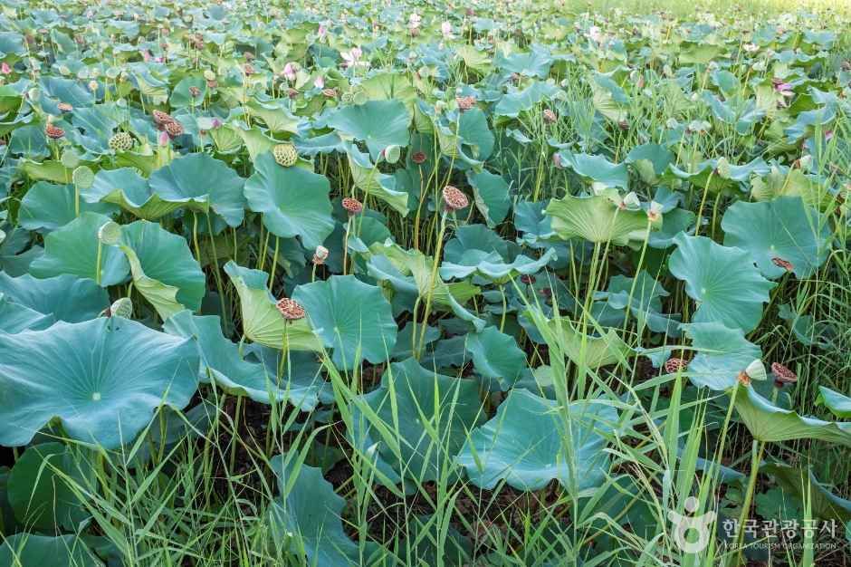 thumbnail-문성지-6