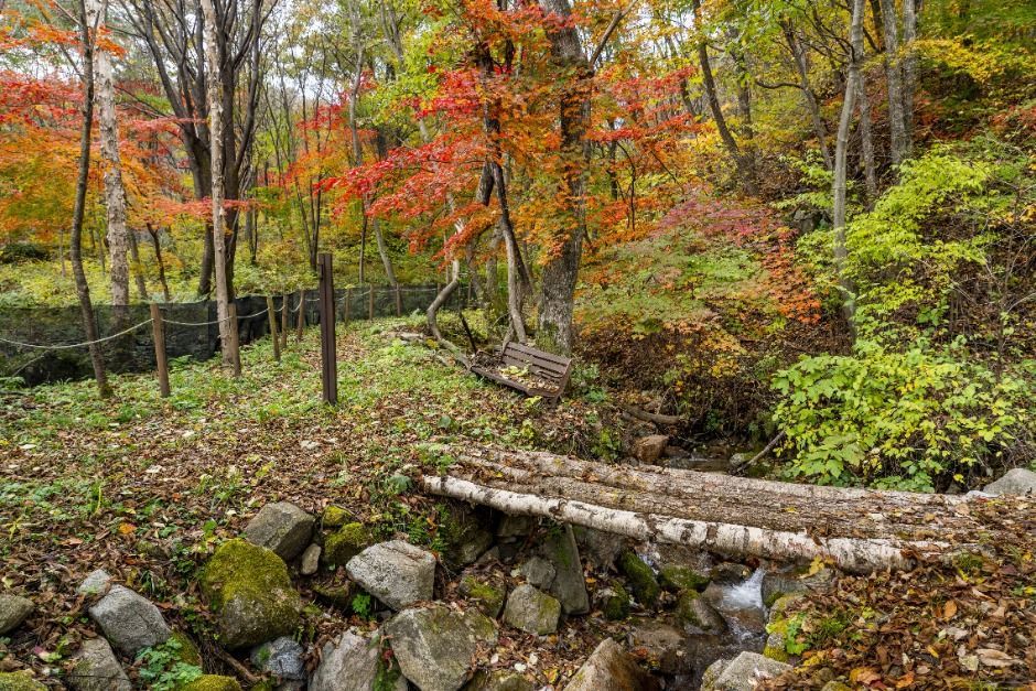 thumbnail-평창자연휴양림-12