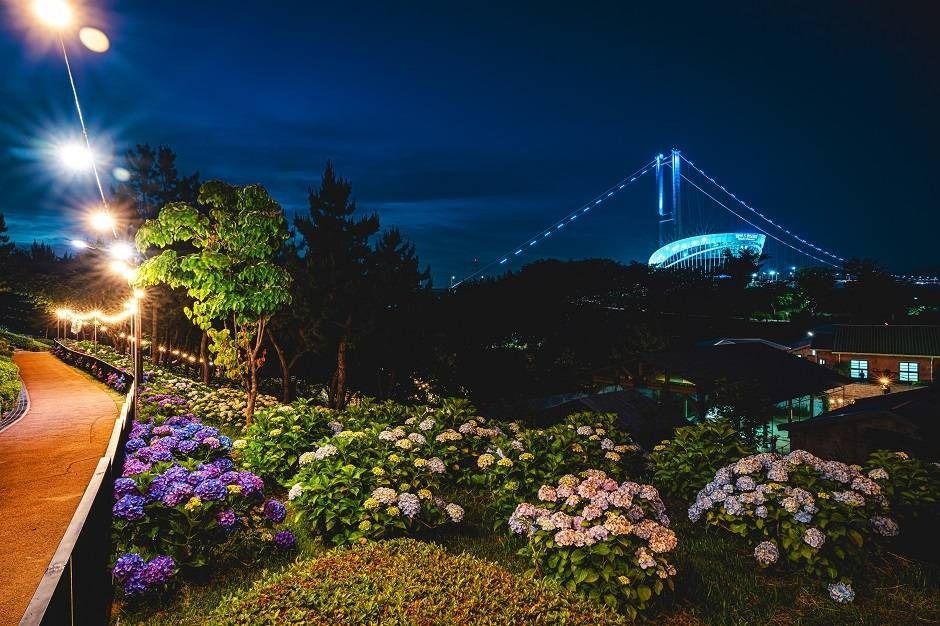 장생포 수국 페스티벌