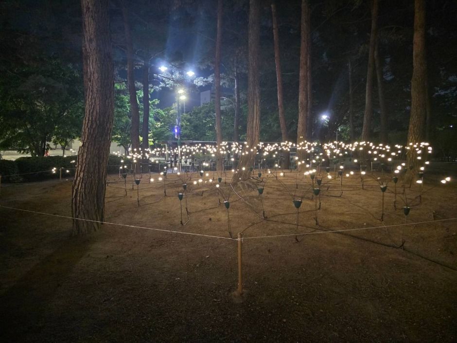 만석거 새빛축제