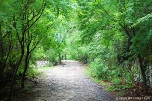 서울_[북한산 둘레길 21구간] 우이령길 (3)