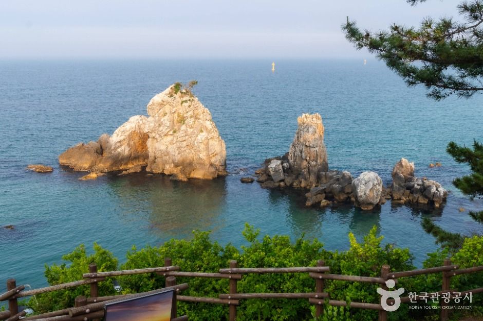 동해_해파랑길 33코스 (1)