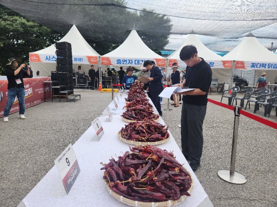 고창해풍고추축제