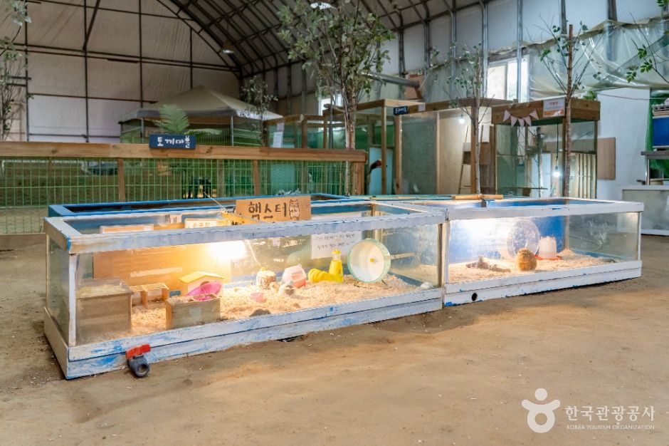 온동물체험농장