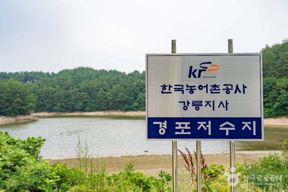 강릉_죽헌저수지 (1)