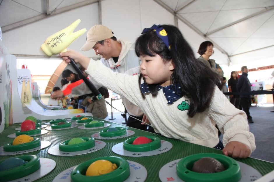 금산세계인삼축제
