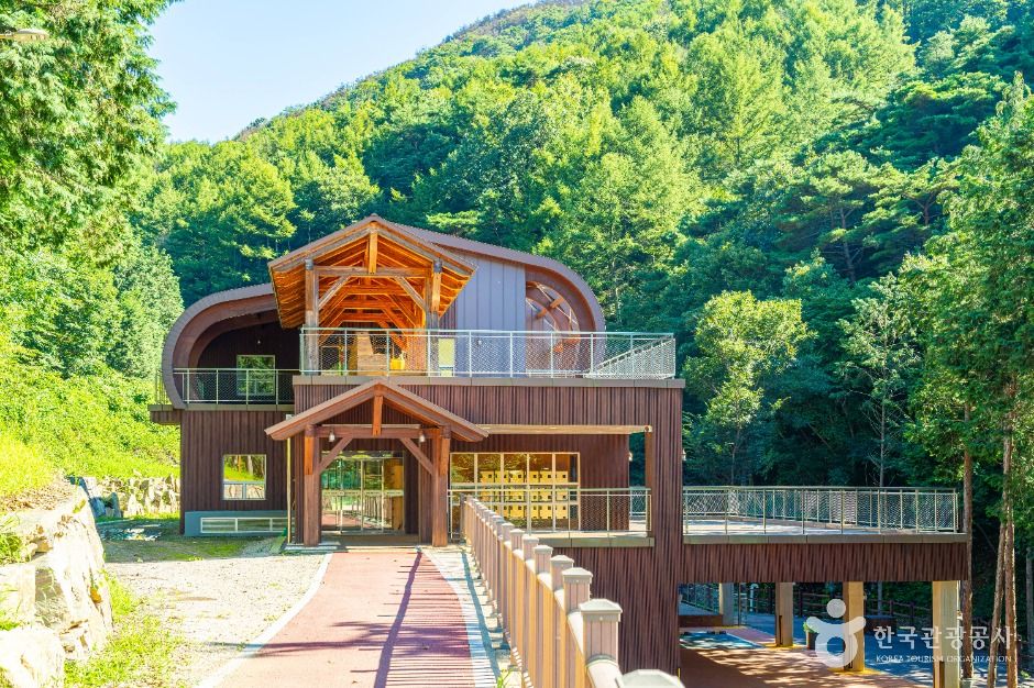 하동 편백자연휴양림
