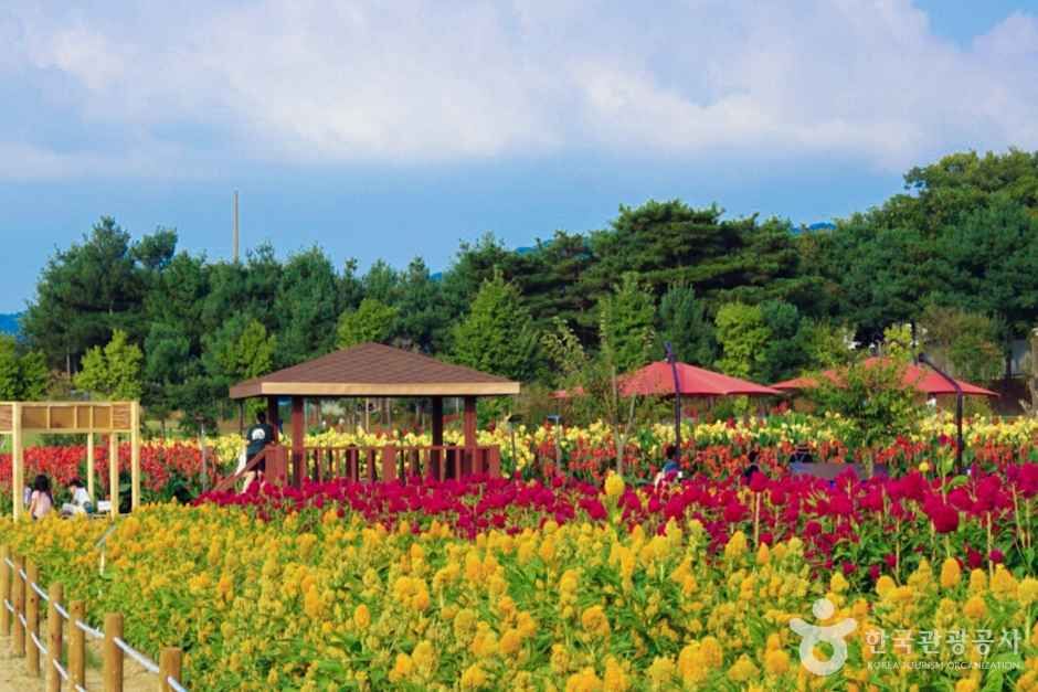 나리농원