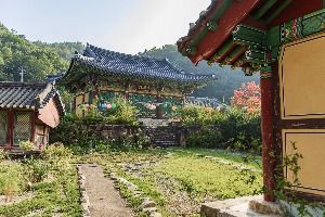 상주시_신흥사(상주) (6)