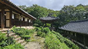 순천전통야생차체험관_image11