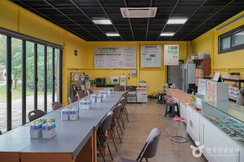 영암곤충박물관