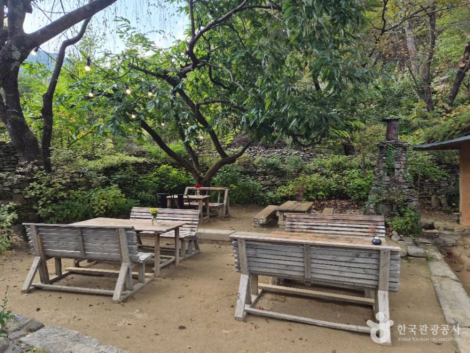 원주_들꽃이야기 (2)