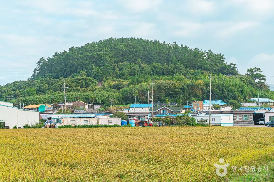 thumbnail-진도 소포검정쌀마을-10