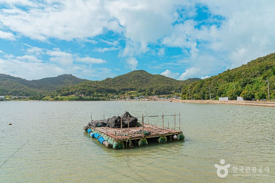 진도 접도어촌체험마을