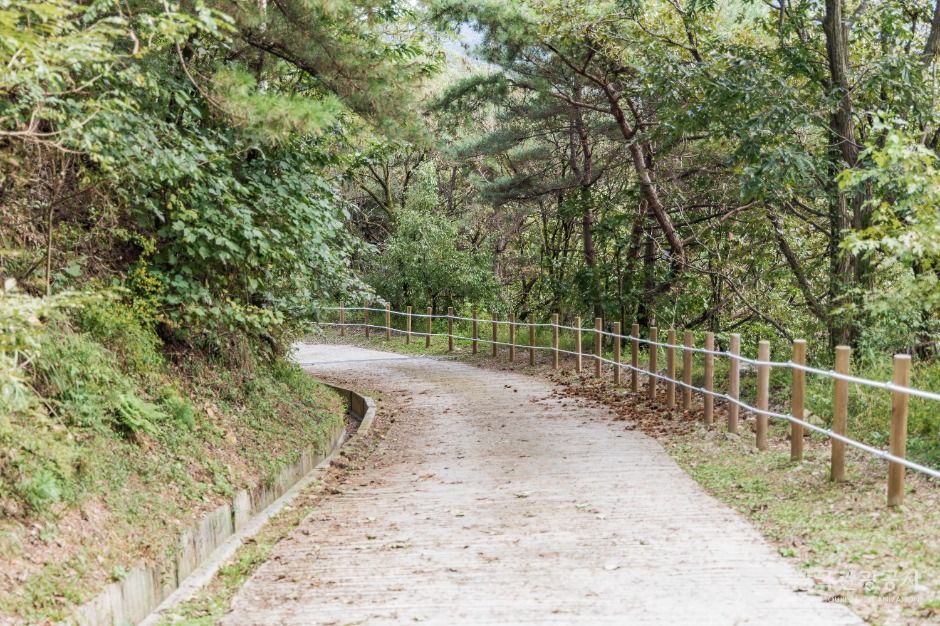 소이산 생태숲 녹색길