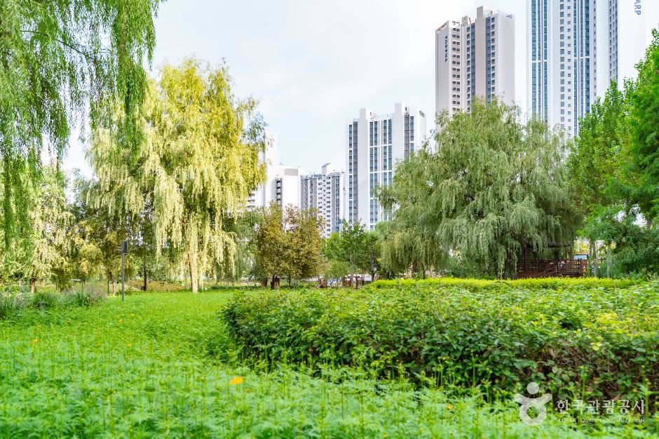 개봉유수지 생태공원