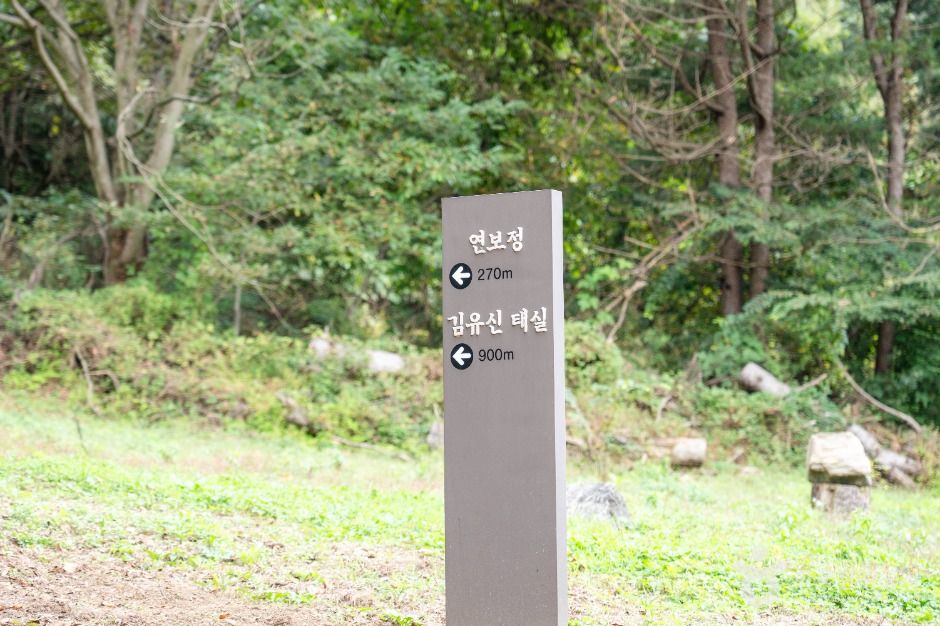 thumbnail-진천 김유신 탄생지와 태실-22