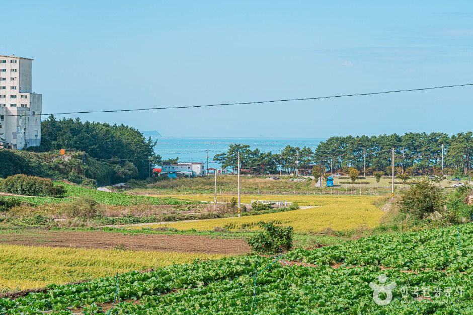 해남_땅끝송호마을 (6)