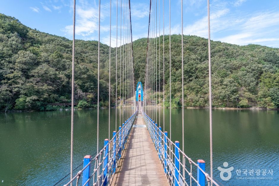 천장호 출렁다리