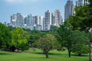 대구_대구 달성공원 (3)